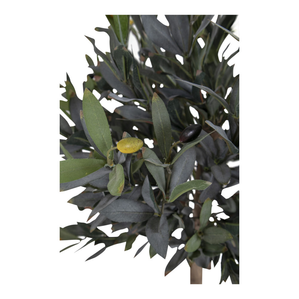 Green_Decor_Olive_Tree_120_cm_OLIIVIPUU_TEKOKASVI_KEINOKASVI_VIHERKASVI_VIHERSISUSTUS_03 - Edella