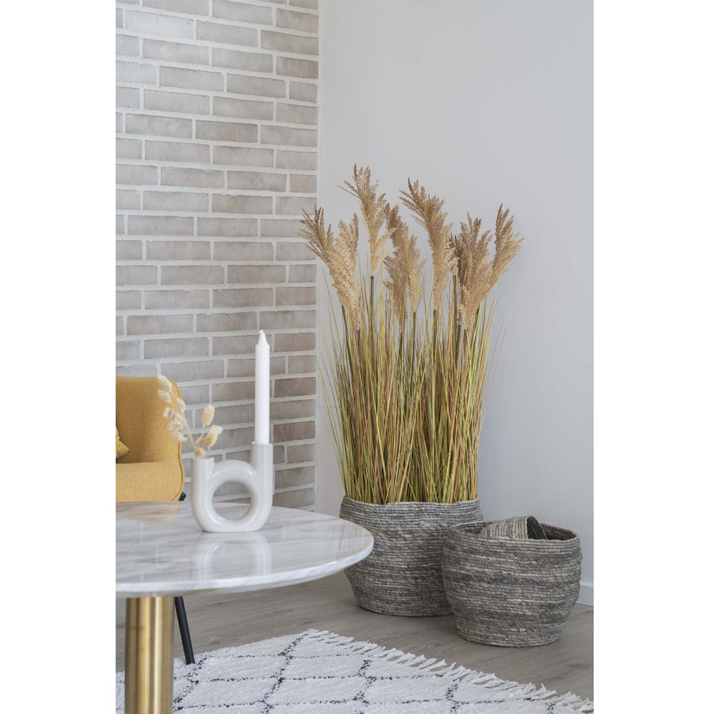 Green_Decor_Sorghum_Grass_TEKOHEINÄ_KEINOHEINÄ_TEKOKASVI_KEINOKASVI_VIHERKASVI_VIHERSISUSTUS_06 - Edella