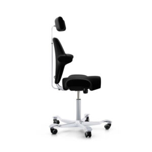 Håg Capisco 8107
