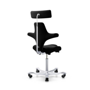 Håg Capisco 8107