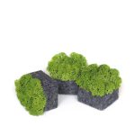 Nordgröna_PIXEL_01 - Edella