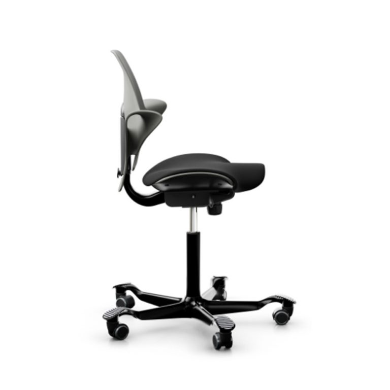 Håg Capisco Puls 8020