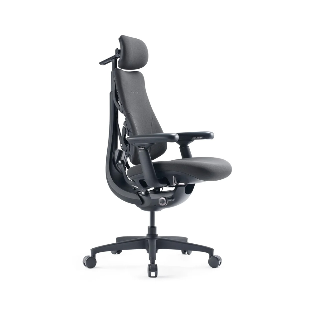 Ergonomic office chair with adjustable headrest, armrests, and wheeled base on a white background, shown in profile