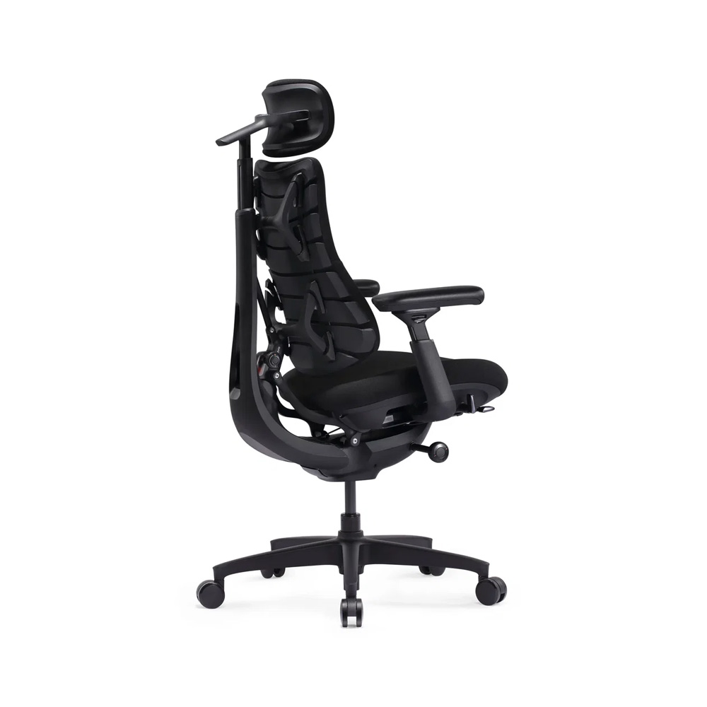 Black ergonomic office chair with a high back, headrest, and adjustable armrests on a wheeled four-star base (side view).