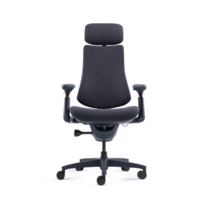 Ergonomic office chair with headrest, dark fabric, padded armrests and five-wheel base for desk use.